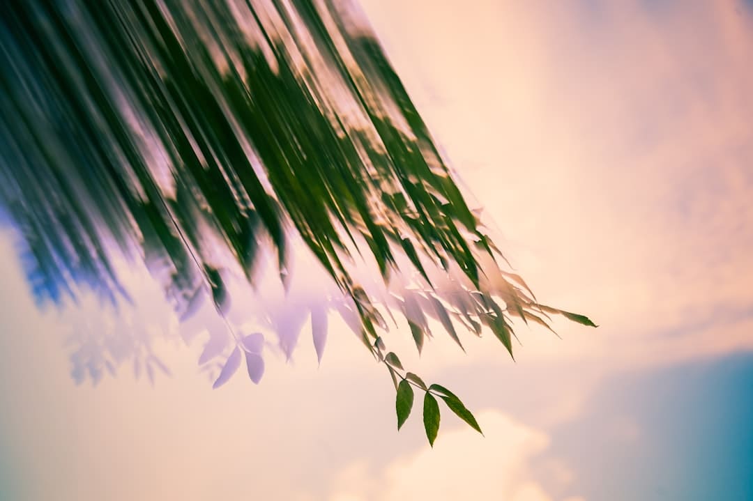 文质彬彬·每日好词语|四海之内皆兄弟
